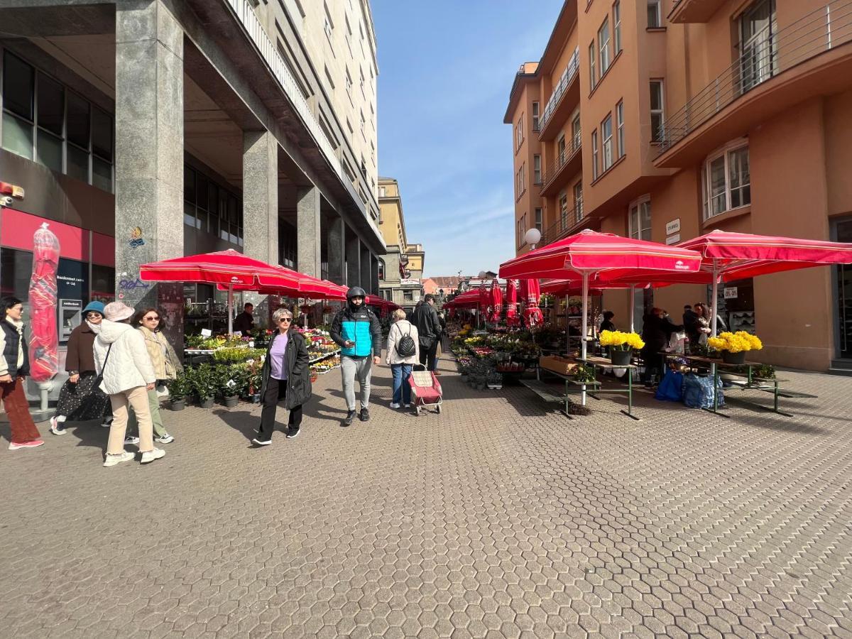 Studio Apartman Luka Ζάγκρεμπ Εξωτερικό φωτογραφία
